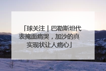 球关注｜巴勒斯坦代表掩面痛哭，加沙的真实现状让人痛心