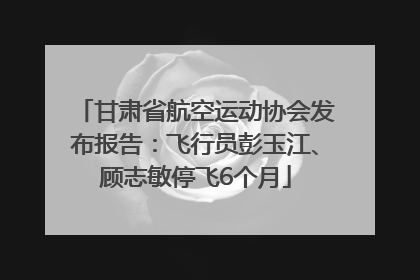 甘肃省航空运动协会发布报告：飞行员彭玉江、顾志敏停飞6个月