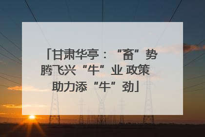 甘肃华亭：“畜”势腾飞兴“牛”业 政策助力添“牛”劲