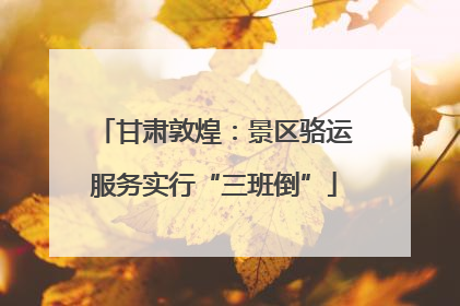 甘肃敦煌：景区骆运服务实行“三班倒”