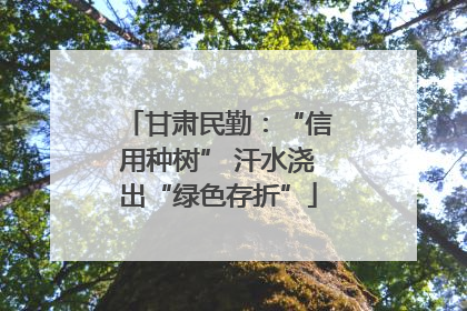 甘肃民勤：“信用种树” 汗水浇出“绿色存折”
