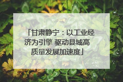 甘肃静宁：以工业经济为引擎 驱动县域高质量发展加速度
