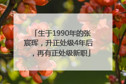 生于1990年的张宸珲，升正处级4年后，再有正处级新职