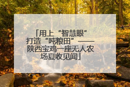 用上“智慧眼” 打造“吨粮田”——陕西宝鸡一座无人农场夏收见闻