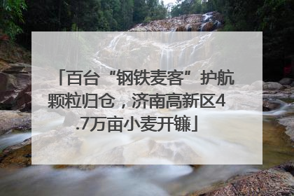百台“钢铁麦客”护航颗粒归仓，济南高新区4.7万亩小麦开镰
