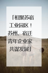 相聚苏宿工业园区！苏州、宿迁青年企业家共谋发展
