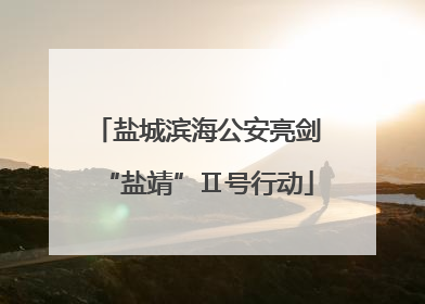 盐城滨海公安亮剑“盐靖”Ⅱ号行动