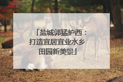 盐城郭猛护西：打造宜居宜业水乡田园新美景