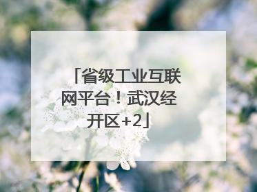 省级工业互联网平台！武汉经开区+2