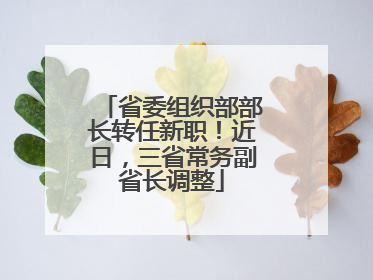 省委组织部部长转任新职！近日，三省常务副省长调整