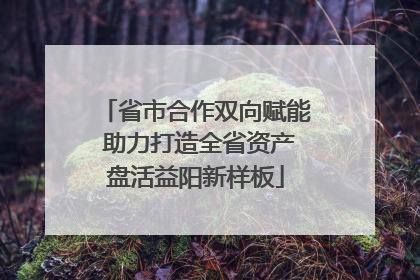 省市合作双向赋能 助力打造全省资产盘活益阳新样板