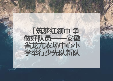 筑梦红领巾 争做好队员——安徽省龙亢农场中心小学举行少先队新队员入队仪式
