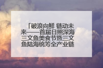 破浪向鲜 链动未来——首届日照深海三文鱼美食节暨三文鱼陆海统筹全产业链发展会议嘉宾访谈
