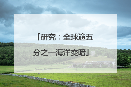研究：全球逾五分之一海洋变暗