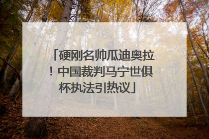 硬刚名帅瓜迪奥拉！中国裁判马宁世俱杯执法引热议