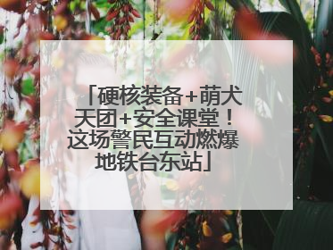 硬核装备+萌犬天团+安全课堂！这场警民互动燃爆地铁台东站