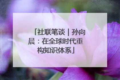 社联笔谈｜孙向晨：在全球时代重构知识体系