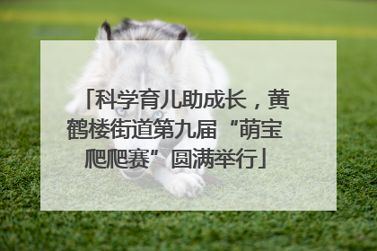 科学育儿助成长，黄鹤楼街道第九届“萌宝爬爬赛”圆满举行