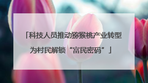 科技人员推动猕猴桃产业转型 为村民解锁“富民密码”