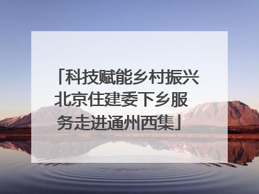 科技赋能乡村振兴 北京住建委下乡服务走进通州西集