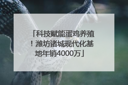 科技赋能蛋鸡养殖！潍坊诸城现代化基地年销4000万
