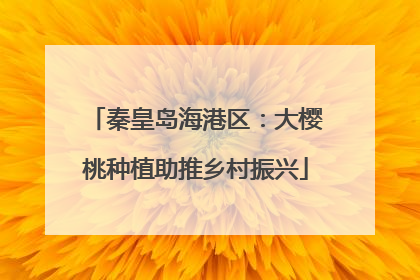 秦皇岛海港区：大樱桃种植助推乡村振兴