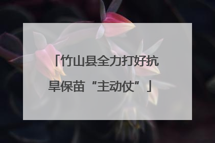 竹山县全力打好抗旱保苗“主动仗”
