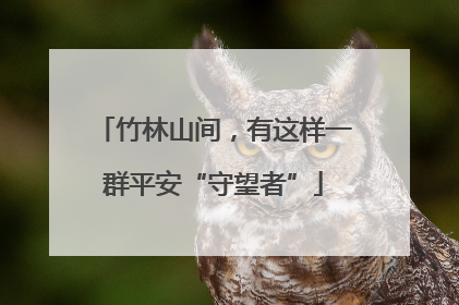 竹林山间，有这样一群平安“守望者”