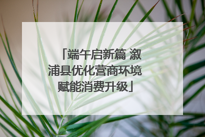 端午启新篇 溆浦县优化营商环境赋能消费升级