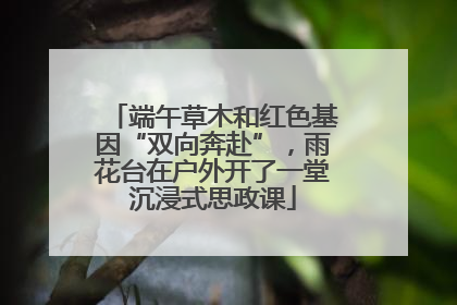 端午草木和红色基因“双向奔赴”，雨花台在户外开了一堂沉浸式思政课