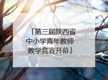 第三届陕西省中小学青年教师教学竞赛开幕