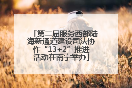 第二届服务西部陆海新通道建设司法协作“13+2”推进活动在南宁举办