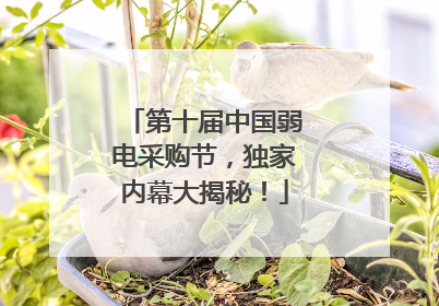 第十届中国弱电采购节，独家内幕大揭秘！