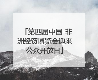 第四届中国-非洲经贸博览会迎来公众开放日