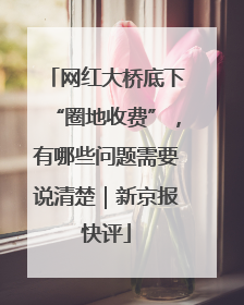 网红大桥底下“圈地收费”，有哪些问题需要说清楚｜新京报快评