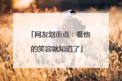 网友划重点：看他的笑容就知道了