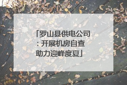 罗山县供电公司：开展机房自查 助力迎峰度夏