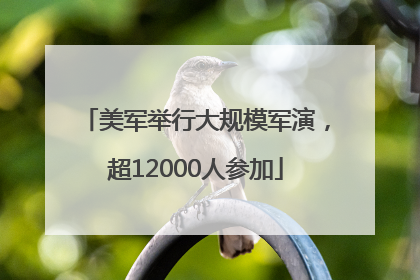 美军举行大规模军演，超12000人参加