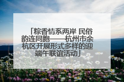 粽香情系两岸 民俗韵连同胞——杭州市余杭区开展形式多样的迎端午联谊活动