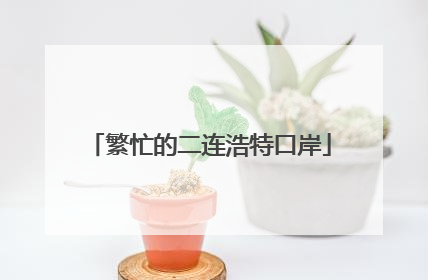 繁忙的二连浩特口岸