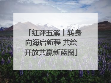 红评五溪丨转身向海启新程 共绘开放共赢新蓝图