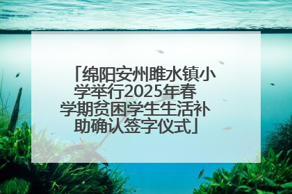 绵阳安州雎水镇小学举行2025年春学期贫困学生生活补助确认签字仪式