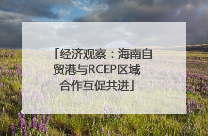 经济观察：海南自贸港与RCEP区域合作互促共进