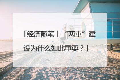 经济随笔丨“两重”建设为什么如此重要？