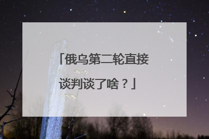 俄乌第二轮直接谈判谈了啥？