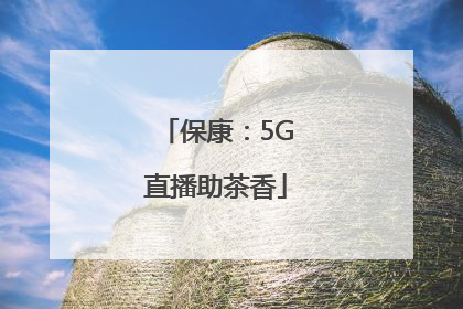 保康：5G直播助茶香
