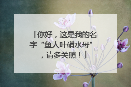 你好，这是我的名字“鱼人叶硝水母”，请多关照！