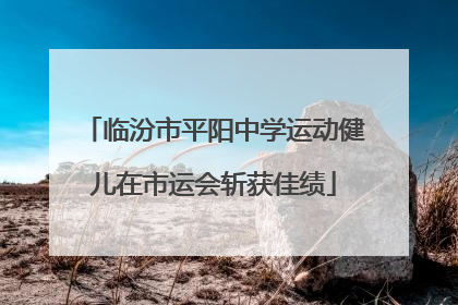 临汾市平阳中学运动健儿在市运会斩获佳绩