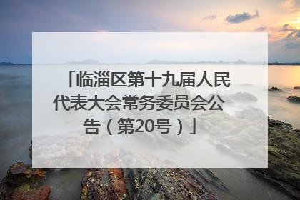 临淄区第十九届人民代表大会常务委员会公告（第20号）