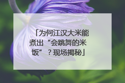 为何江汉大米能煮出“会跳舞的米饭”？现场揭秘